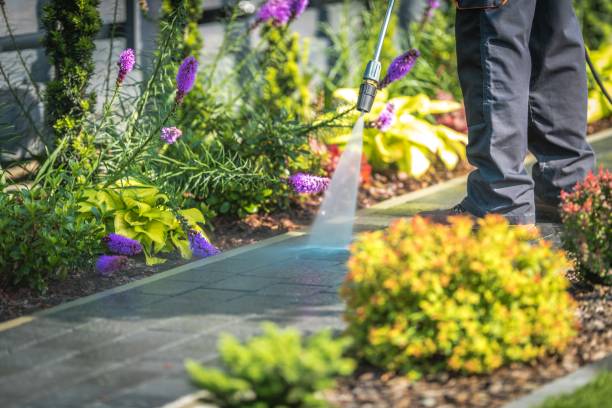 Best Sidewalk and Walkway Pressure Cleaning in Parks, AZ